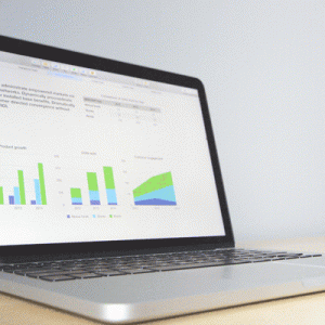 Formation SAP Web intelligence XI