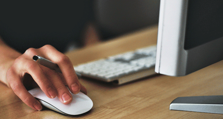 Crystal Xcelsius Conectivity